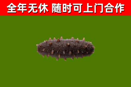 东安区烟酒回收干海参.jpg